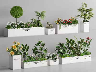 Various Flowers and Green Plants in White Rectangular Planters Neatly Arranged 3d model