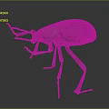 Dark Colored Beetle Model With Long Antennae Textured Body And Long Legs On Gray Background
