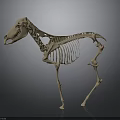 Detailed Full Body Horse Skeleton Anatomical Model Display On Gray Background