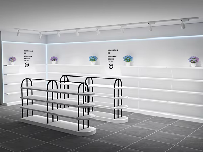 Modern Retail Display Shelves With Lighting For Flower Bouquets In Store 3d model