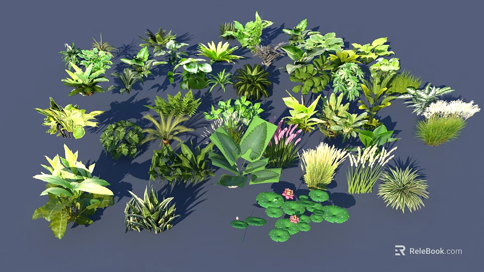 Diverse Aquatic Plants Collection With Water Lilies Reeds And Green Foliage 3d model 