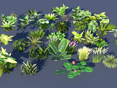 Diverse Aquatic Plants Collection With Water Lilies Reeds And Green Foliage 3d model