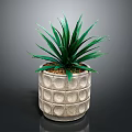 Indoor Green Plant With Long Leaves In Gray Pot With Circular Pattern