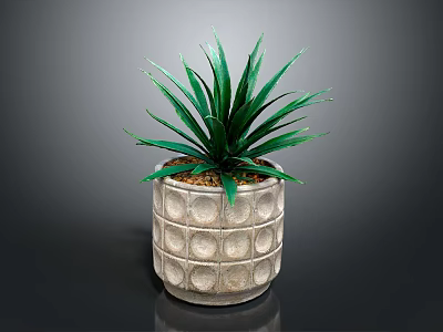 Indoor Green Plant With Long Leaves In Gray Pot With Circular Pattern 3d model
