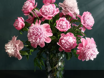Pink Peonies In Transparent Glass Vase Against Dark Green Wall With Soft Light 3d model