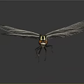 Close up dragonfly with transparent wings black and white striped body and red eyes