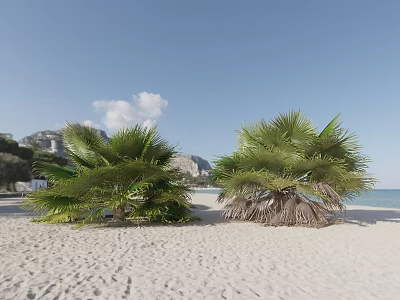 Lush Tropical Shrubs on Sandy Beach with Blue Sky White Clouds and Mountain Sea View 3d model
