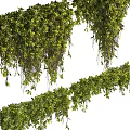 Lush Green Hanging Vines With Trailing Foliage And Decorative Garden Styles