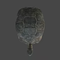 Giant Turtle Game Movie Character With Realistic Rough Shell And Textured Skin