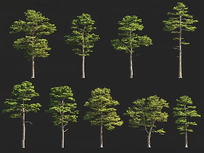 Diverse Arbor Tree Collection With Various Green Foliage And Different Trunk Shapes 3d model