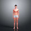 Shirtless Fit Man Standing In Light Colored Underwear Against Gray Background