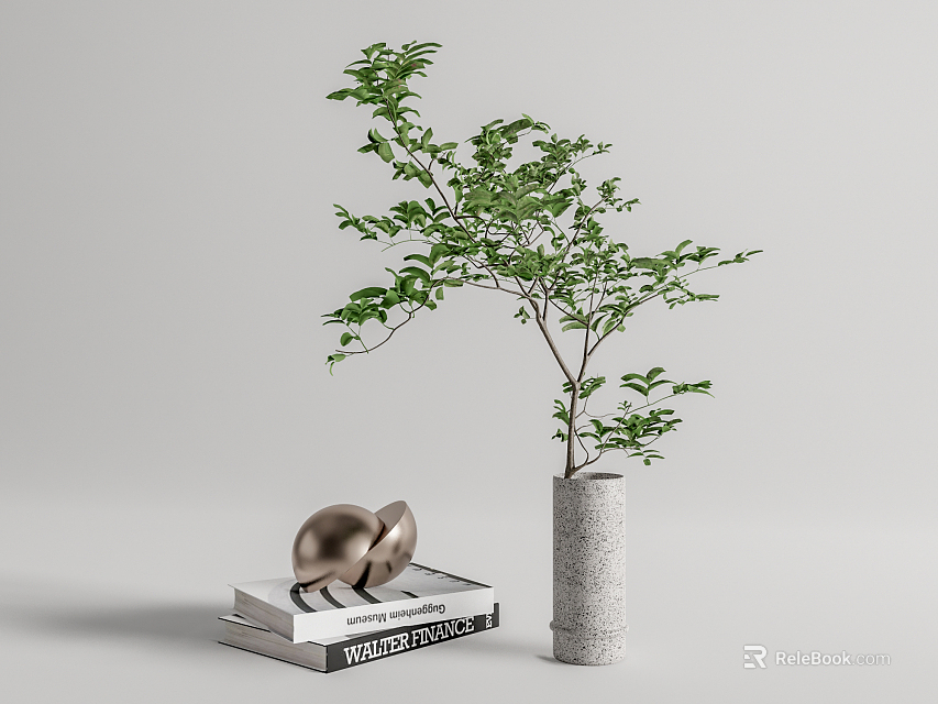Concrete Vase with Lush Green Plant on Stack of Books and Metallic Decor 3d model 