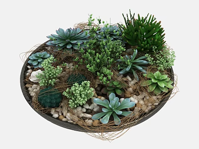 Round Container With Various Green Succulents Pebbles And Twigs Arrangement 3d model
