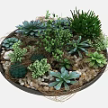 Round Container With Various Green Succulents Pebbles And Twigs Arrangement