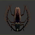 3D Insect Model With Metallic Sheen Long Antennae Red Branches Legs And Reflection On Gray
