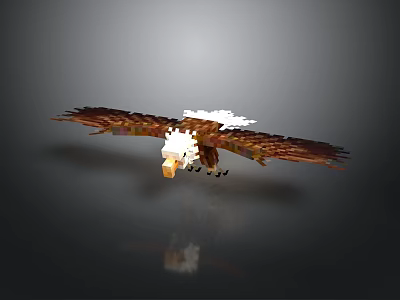 Flying Eagle with spread wings and white feathered head in gray gradient background with reflection 3d model