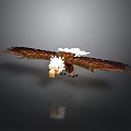 Flying Eagle with spread wings and white feathered head in gray gradient background with reflection