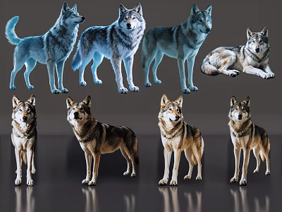 Vibrant Reptiles In Various Positions Standing And Lying With Blue And Brown Colors 3d model