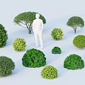 Green Shrubs With Various Shapes Different Sizes And Purple Flowers Around Human Figure Model