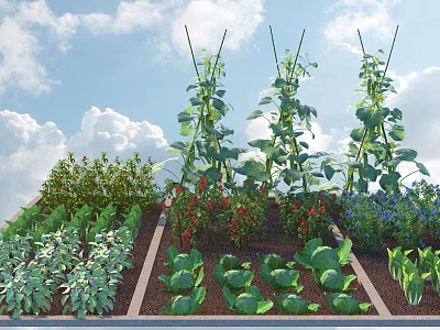 Growing Vegetable Garden With Climbing Beans Ripe Tomatoes Fresh Lettuce Herbs And Flowers 3d model