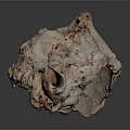 Shell Shaped Decorative Ornament Set With Red And White Textured Surface And Hollow Design