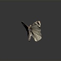 Modern Butterfly Green Vein White Colored Butterfly 3d model