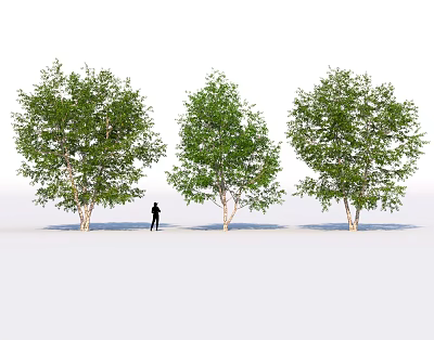 Three Tall Arbors With Green Leaves And Human Silhouette In White Background 3d model