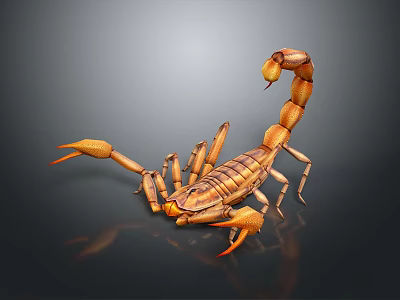 Detailed 3D Rendered Scorpion With Orange Yellow Body Long Tail And Pincers On Dark Background 3d model