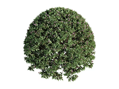 Lush Green Hanging Basket Plant With Dense Foliage For Indoor Home Decor 3d model