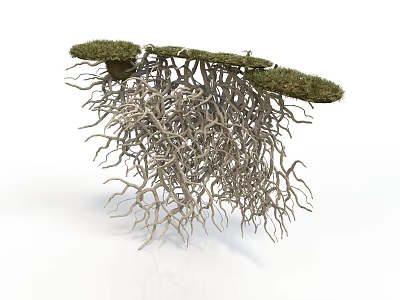 Natural Plant Structure With Green Grassy Top And Exposed Intertwined Roots 3d model