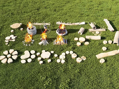 Grassy Outdoor Area With Stone Wood Built Fire Pits And Scattered Logs 3d model
