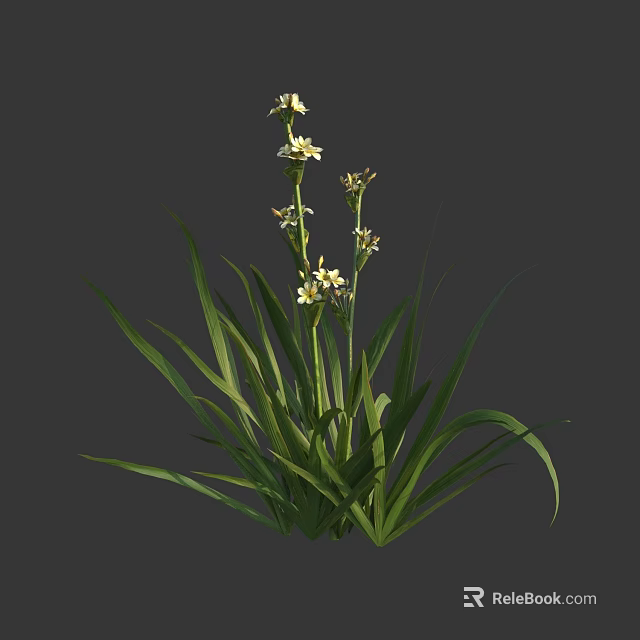 Lush Flower Plant Featuring Long Green Leaves And White Small Flowers 3d model 