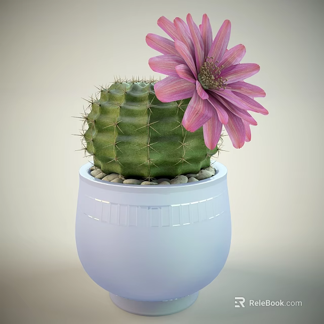 Decorative Green Cactus Potted Plant With Pink Flower In White Pot And Small Pebbles 3d model 