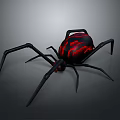 Black Spider With Red Flame Pattern On Abdomen And Long Legs Design