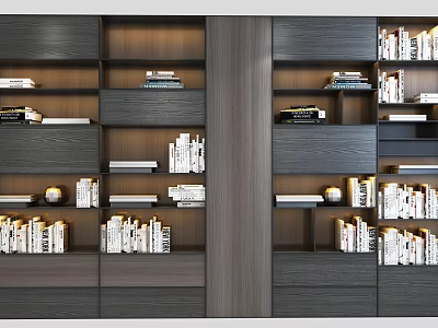 Modern Bookcase Interior Design With Wooden Shelves And Organized Books Decorative Items 3d model