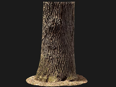 Rustic Wood Tree Trunk With Stone Base And Natural Textured Surface 3d model