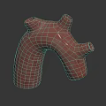 3D Rendered Human Organ Model With Pink Color And Hair Like Surface Structures