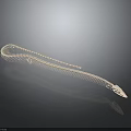Detailed Snake Skeleton Structure On Dark Background With Reflective Surface