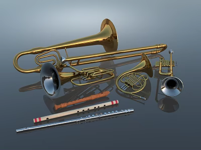 Brass Wind Instruments Collection Including Trombone French Horn Flute And Trumpet 3d model