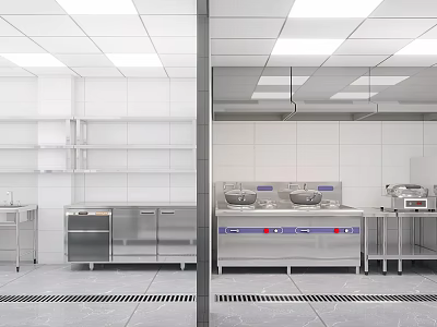 Modern Commercial Kitchen With Stainless Steel Worktables Cabinets And Ventilation 3d model