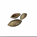 Natural Almond Plant Seeds With Opened One Showing Inner Kernel Close Up View