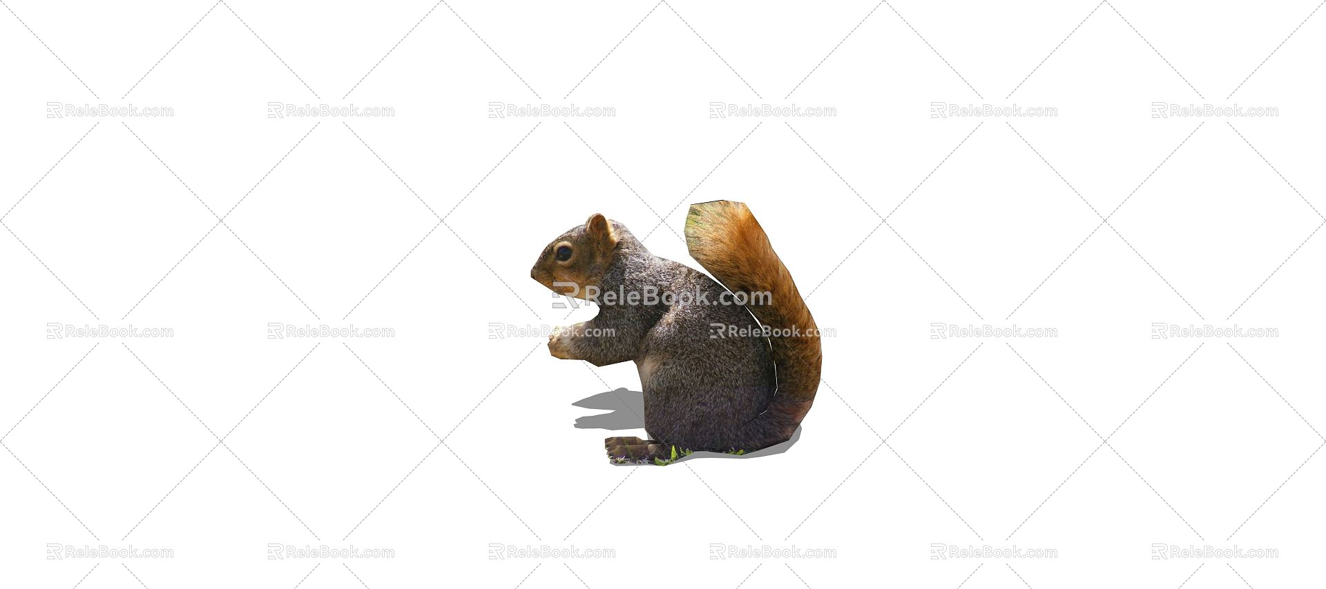 Modern Squirrel Little Squirrel 3d model