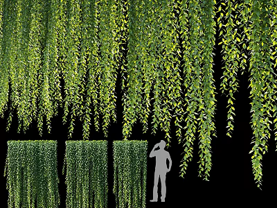 Lush Green Hanging Vines as Wall Decor with Natural Leafy Backdrop 3d model