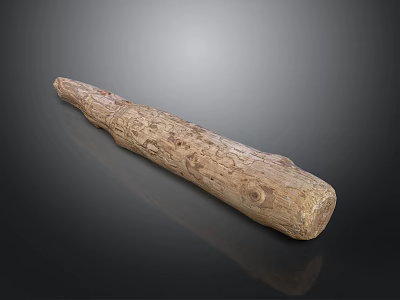 Natural Wood Log With Textured Surface And Detailed Grain Patterns 3d model