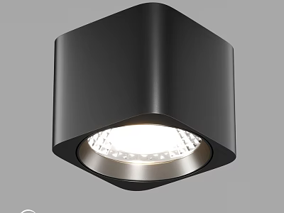 Modern Black Metal Downlight Spotlight With Bright LED Ceiling Lighting 3d model