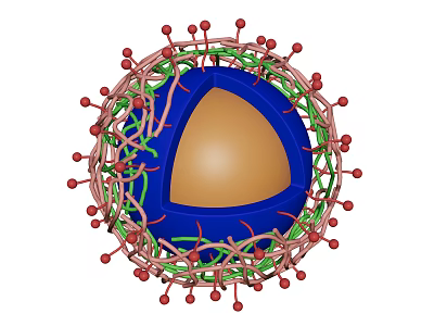 Medical Device 3D Structural Core With Outer Projections And Functional Components 3d model