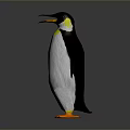 Penguin With Black And White Body Orange Feet Yellow Neck Standing With Outstretched Wings