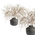 Decorative Ornament Set With Black Pottery Vases And Dried Branches For Home
