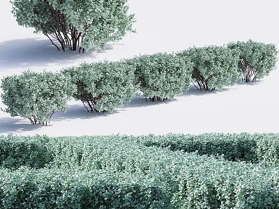 Different Types of Garden Shrubs Arranged as Hedges and Individual Plants 3d model