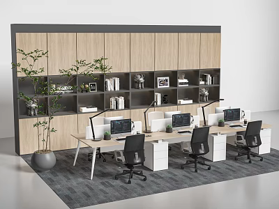 Modern Office Desk Workspace With Wooden Bookshelves Green Plants Computers Office Chairs And Area Rug 3d model